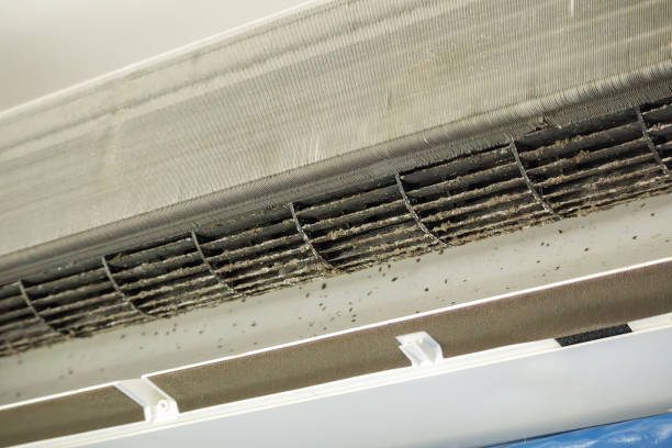 Best Affordable Air Duct Cleaning  in Marengo, IA
